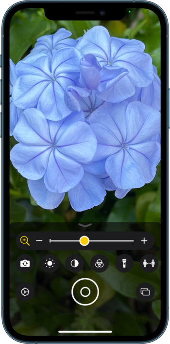 Image shows iOS Magnifier screenshot with control settings