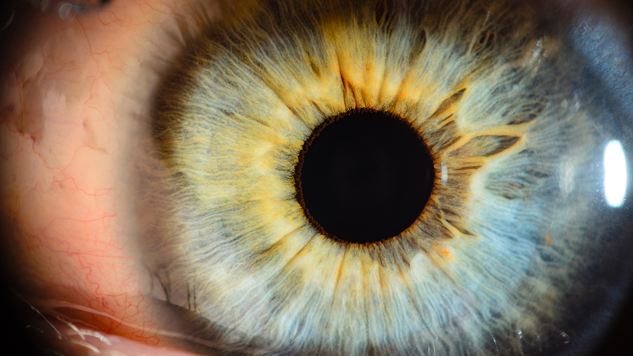Close up of human eye.