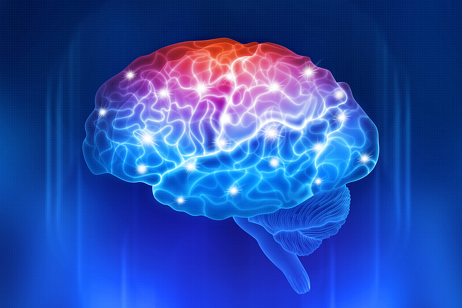 A brain lights up when learning