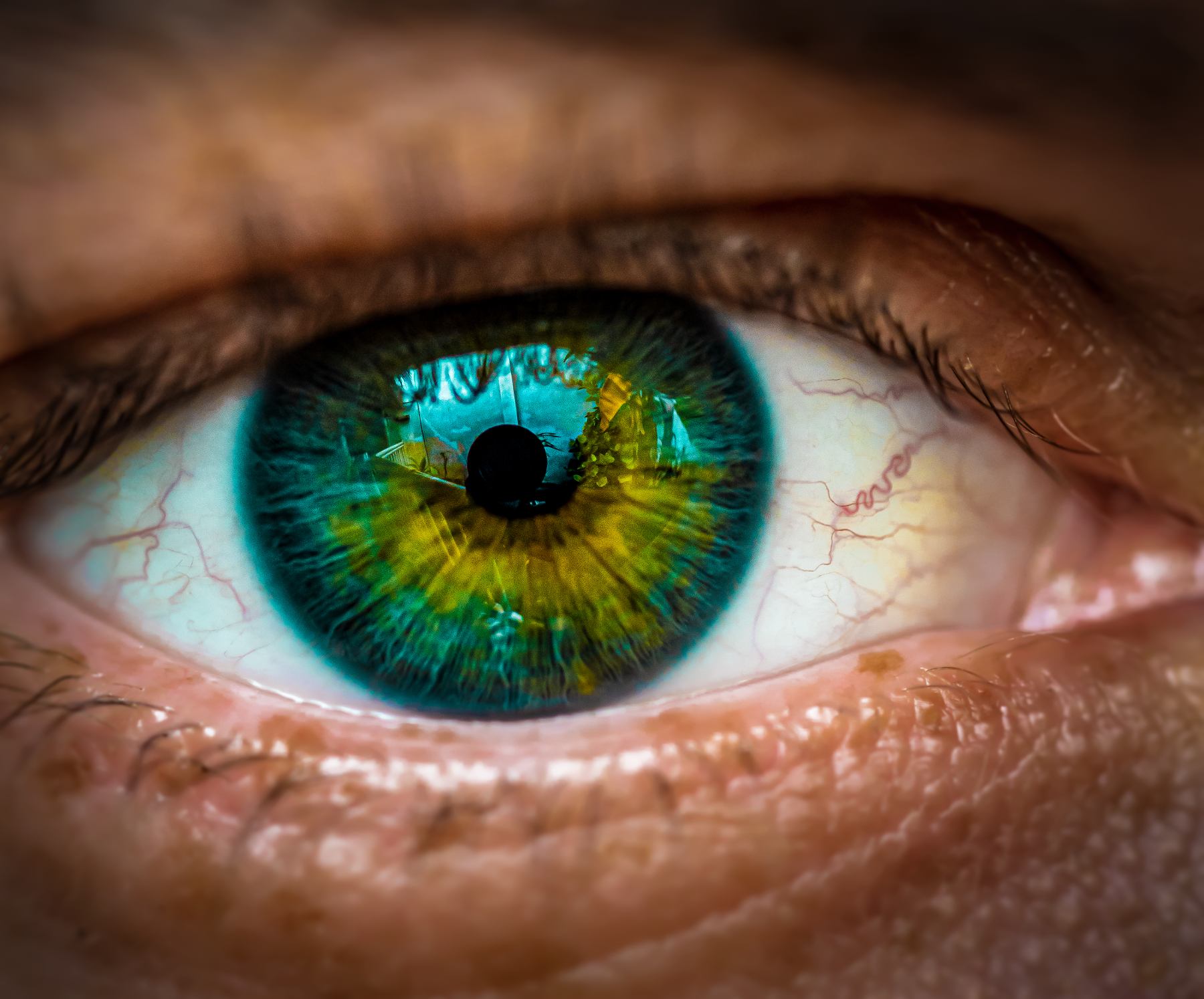 Selective closeup of human green eye